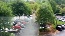 Large swarm of bees in a shopping centre carpark