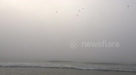Birds disappear in the sky...