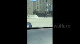 Crazy goose attacks woman