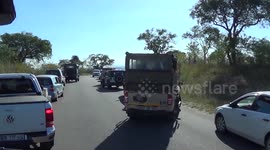 How i met a leopard in Kruger Park ! (South Africa)