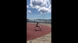 Catching the ball mid-air