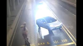 Escaped camel from performance corralled by traffic police