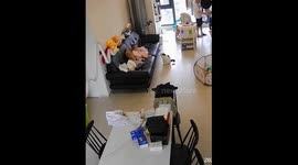 This father has a future in goalkeeping as his incredible reflexes save toddler from hitting head