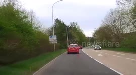 Deer's lucky escape after bounding across highway - and bumping into car