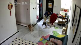Quick-thinking father catches infant falling from stroller in China