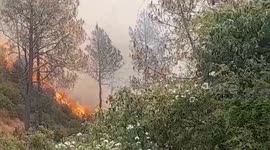 Forest fires rage on hillside in northern India