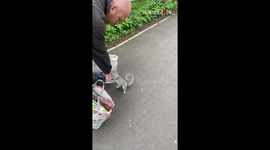 Meeting with a squirrel turns into a shared snack adventure