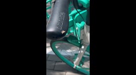 Cyclist finds spider making web on bike handlebars