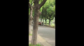 Wholesome moment elderly couple dance in park