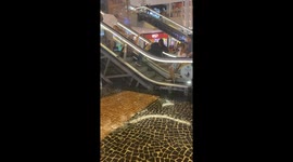 Mayhem on Escalator