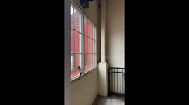 Man's hilarious mission to rescue trapped pigeon in building stairwell