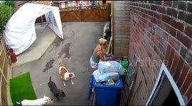 Woman Falls While Trying to Pack Down Garbage