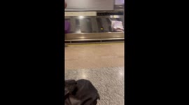 Suitcases Pile Up at Baggage Claim