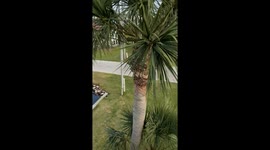 Trash Removal Made Easy