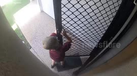 Green Snake Nearly Lands on Unsuspecting Boy