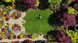 Couple's stunning suburban garden in industrial heartland springs into life