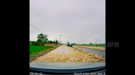 Flock of ducks halts motorist's journey in China