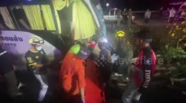 Bus carrying 30 Thai and Chinese tourists crashes into tree killing driver in Thailand