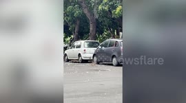 Leaf appears to come alive baffled locals in Taiwan