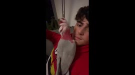 Parrot grooves: head-bopping dance in Lochem, Netherlands