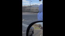 Bunny And Dog Pop Wheelies On Motorbike