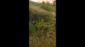 Investigation of a natural fire and the work of firefighters on site