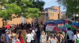 Pro-Palestine protesters and students occupy University Of London