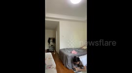 China: Playing Hide and Scare with the Cat