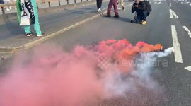 Pro-Palestine protesters block Waterloo Bridge in London