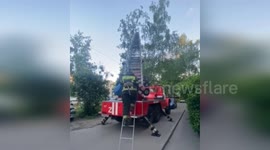 Firemen rescue cat stranded 42ft up tree in Russia