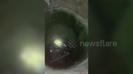 India: Bull falls into dry deep well in central India, rescued