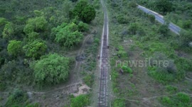 most accident place elephants walking on the railway and playing on it in sri lanka