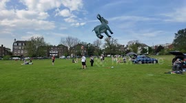 If Pigs can fly why not Donkeys?