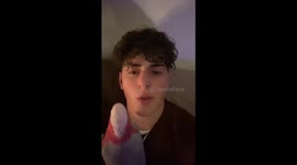 Parrot's head-bopping dance turns feisty in Netherlands video