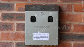 Smokers banned from using ashtray - after nesting blue tits move in