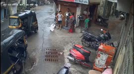 Massive sudden dust storm in Mumbai , tree uprooted due to heavy wind , one injured