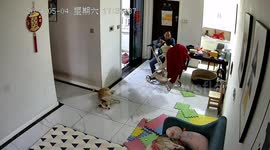 Dad shows quick reflexes to save daughter - as she tumbles out of stroller