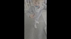 Toddler's transition to makeup artist leaves her four-legged client looking rather rouge