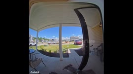 Mom Trips and Falls Taking Out Dogs