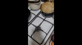 Cat Takes a Nap in Cookware