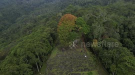The Gunung Padang Pyramid Site In Indonesia  CIANJUR, INDONESIA - MAY 12: The Gunung Padang pyramid site in Cianjur, West Java, Indonesia, on May 12, 2024. Gunung Padang, also known as “mountain of enlightenment”, sits at the top of an extinct volcano and