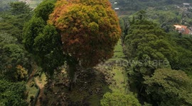The Gunung Padang Pyramid Site In Indonesia  CIANJUR, INDONESIA - MAY 12: The Gunung Padang pyramid site in Cianjur, West Java, Indonesia, on May 12, 2024. Gunung Padang, also known as “mountain of enlightenment”, sits at the top of an extinct volcano and