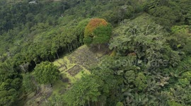The Gunung Padang Pyramid Site In Indonesia  CIANJUR, INDONESIA - MAY 12: The Gunung Padang pyramid site in Cianjur, West Java, Indonesia, on May 12, 2024. Gunung Padang, also known as “mountain of enlightenment”, sits at the top of an extinct volcano and