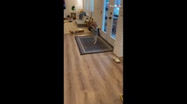 Little boy takes a tearful stand for his beloved blue Crocs