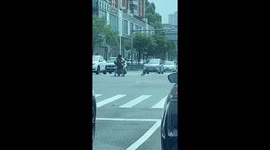 Heartwarming motorcyclist rescues kitten on busy traffic road