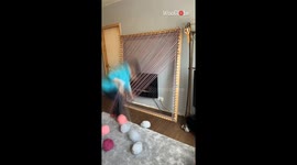 Artist births a colossal pom-pom blanket from her deft hands