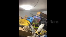 China: A very serious cat watches a man from behind a box