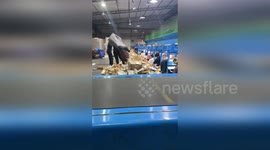 Overworked postal workers in China lose up to 10lbs in first week, claims employee