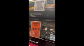 Shopper Spots a Mouse in Grocery Store Display Case