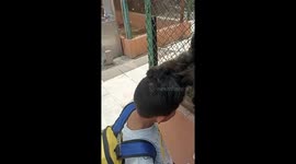 Monkey refuses to let go of little boy's hair at zoo